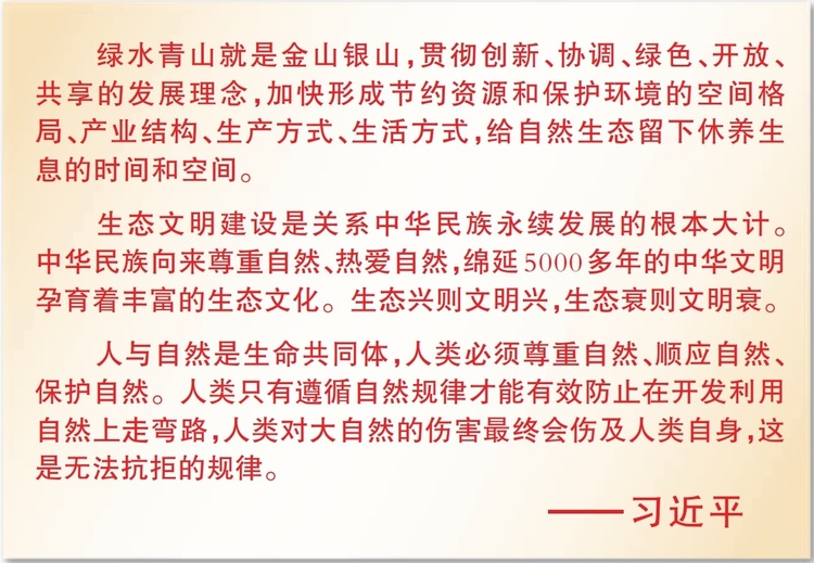 ʮ塱ӛP(gun)ĵ@Щ£@꣬Gˮɽ